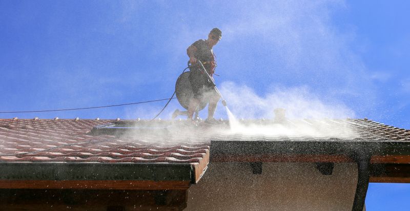 Roof Cleaning